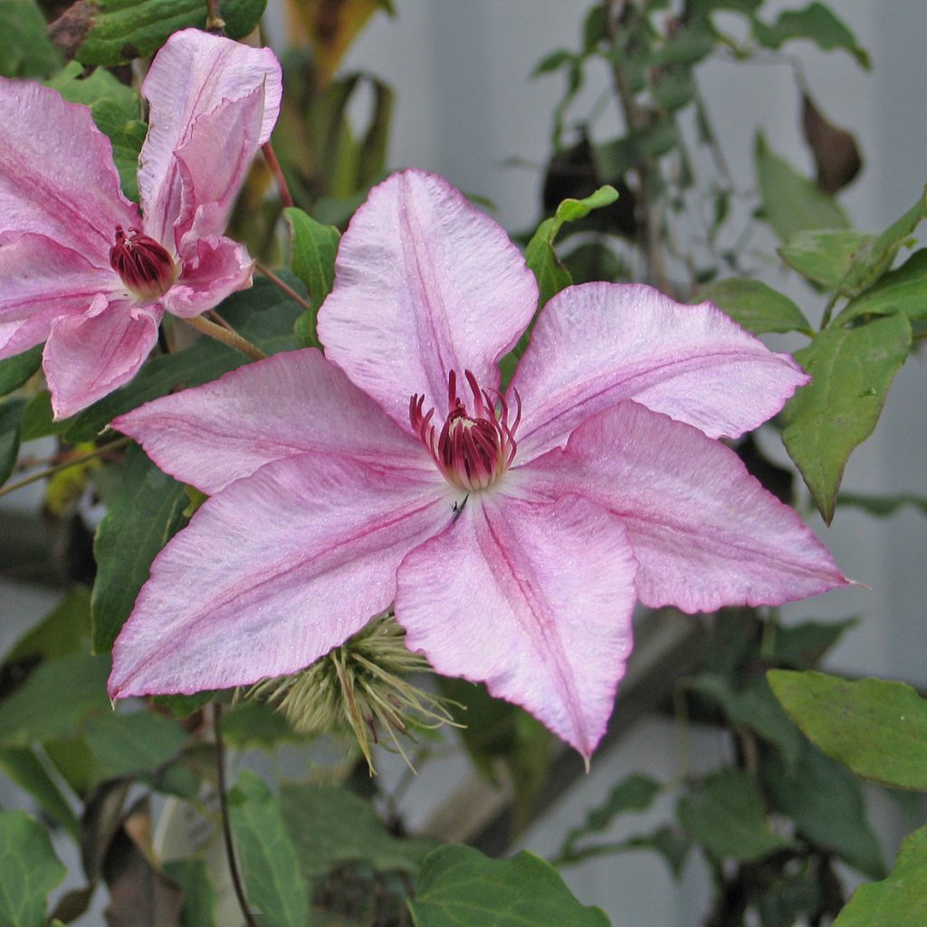 'John Warren'