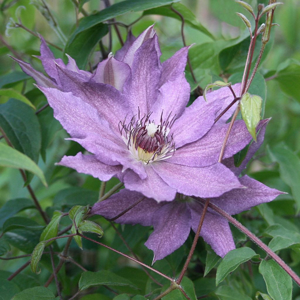 'Kathleen Dunford'