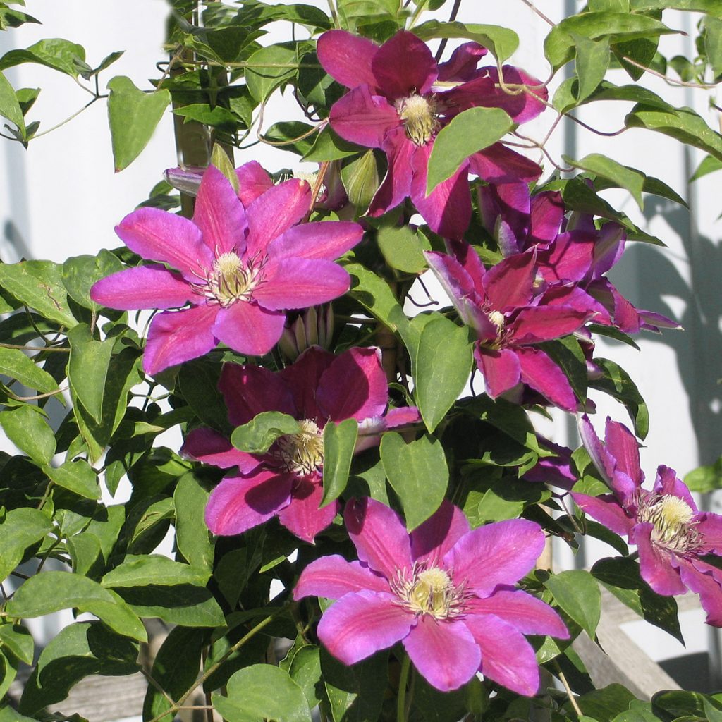 'Keith Richardson'